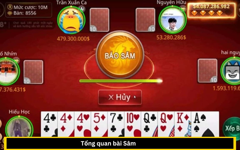 tổng quan bài Sâm